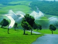 Irrigation